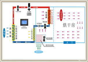 15P大型水果清洗烘干干燥設(shè)備生產(chǎn)線 智能清潔機(jī)械引領(lǐng)行業(yè)革新