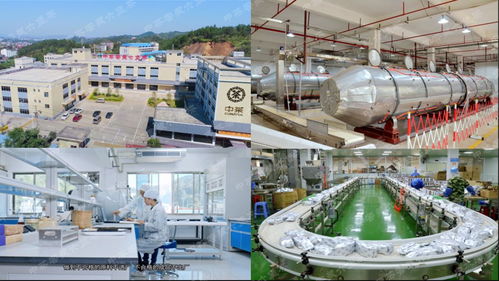 中茶引領(lǐng)六堡茶工業(yè)革命2.0 智能化清潔機(jī)械與設(shè)備的革新之路